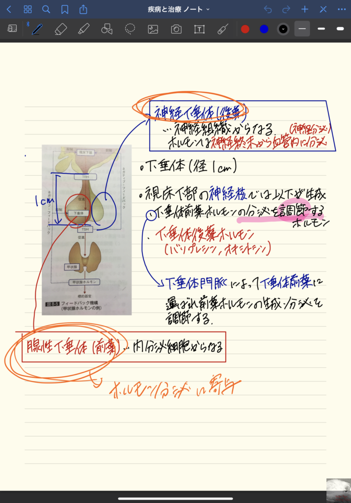 Ipadを手帳に Goodnotes 5 は最強のノートアプリだ Gadget Nyaa Apple ガジェットブログ