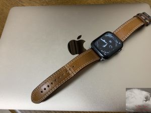 レビュー] Apple Watch Series 6の40mmチタニウムモデルを購入しました 