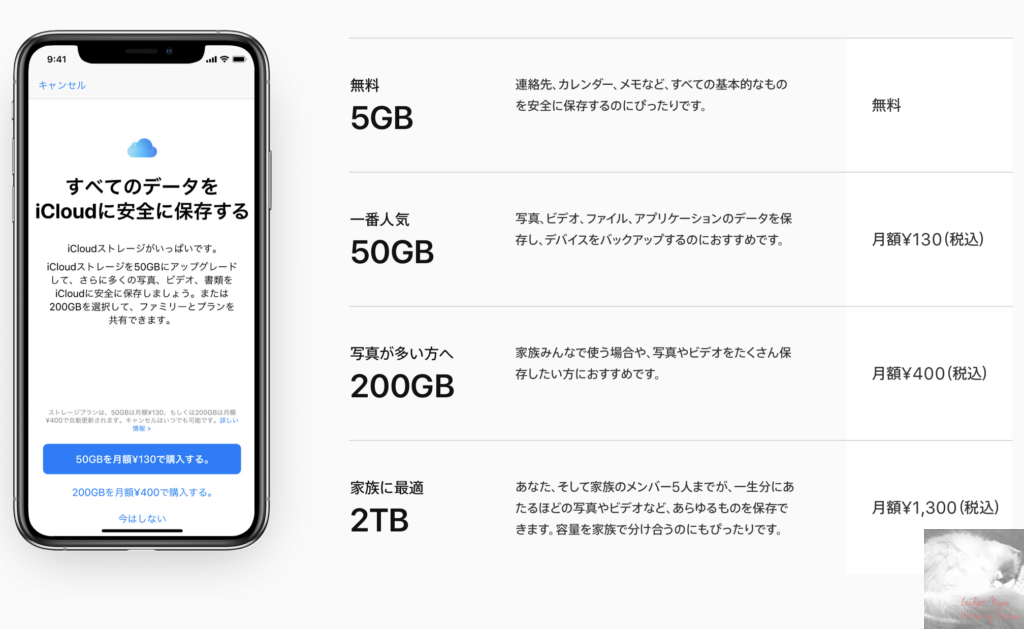 Icloudの容量は追加購入必須 失って初めてわかるデータの大切さ Gadget Nyaa Apple ガジェットブログ