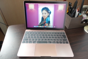 【美品】MacBook 2017 MPXT2J/A 充放電回数29回！