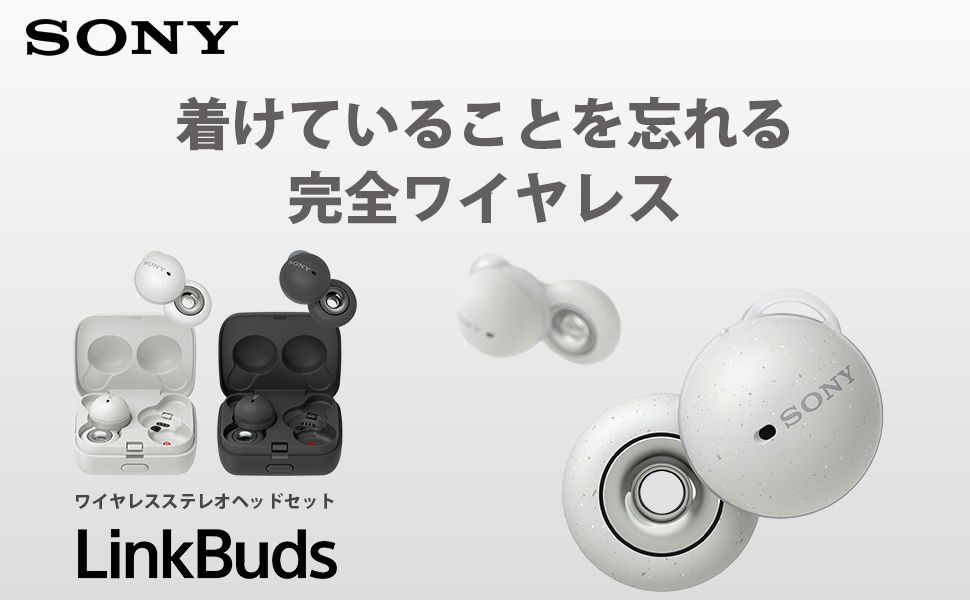 Linkbuds Wf L900を買わない理由ー無印airpods 第3世代で良くない Gadget Nyaa Apple ガジェットブログ